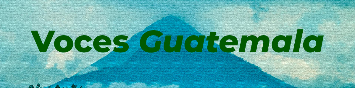 BANNER GUATE 5